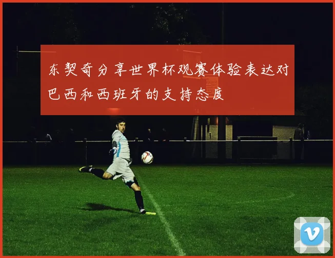 东契奇分享世界杯观赛体验表达对巴西和西班牙的支持态度