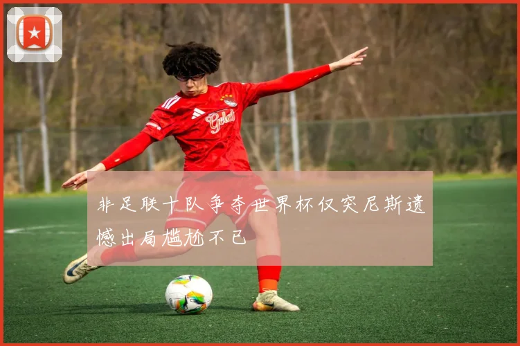非足联十队争夺世界杯仅突尼斯遗憾出局尴尬不已