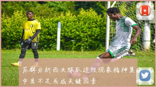 苏群分析西决球队连败现象精神集中度不足或成关键因素